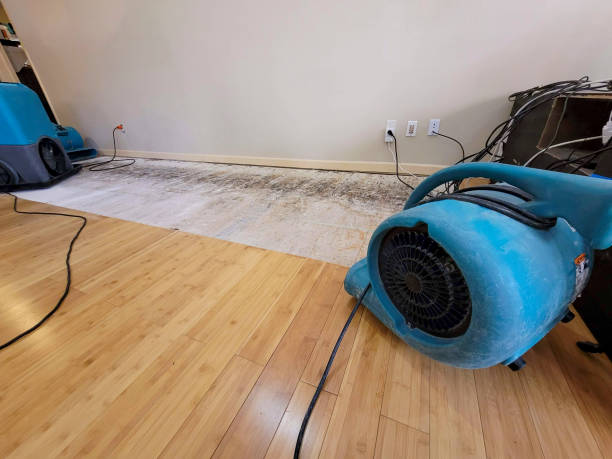 Reliable Basement Flood Cleanup contractor in Franklin, CA by Hirex Water Damage