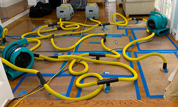 Professional Basement Flood Cleanup technician working in Franklin, CA